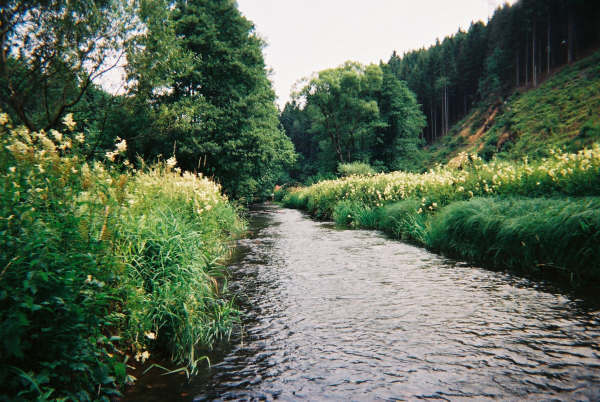 de Ourthe